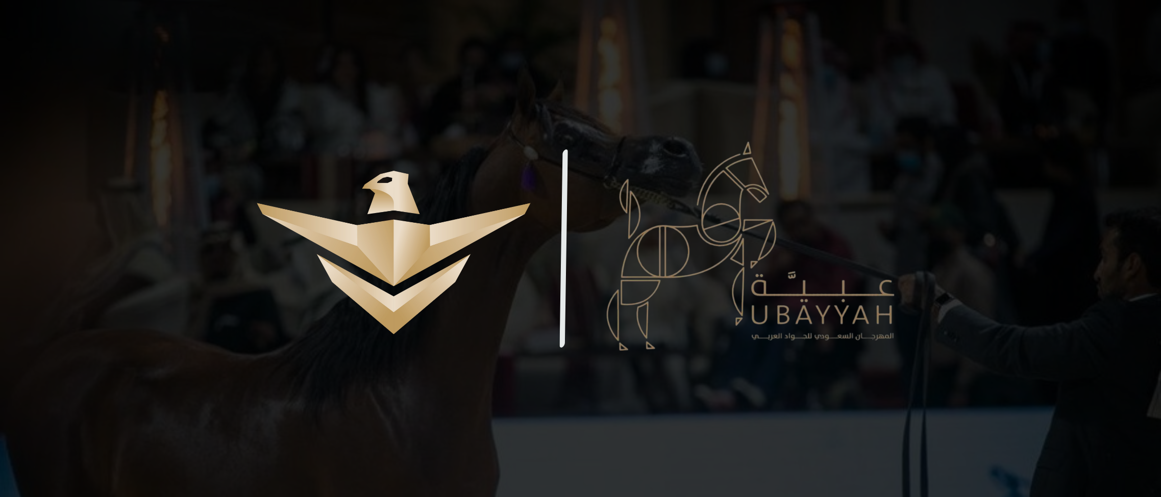 Saudi Festival for Arabic Horse (AlUbayyah in Diriyah)